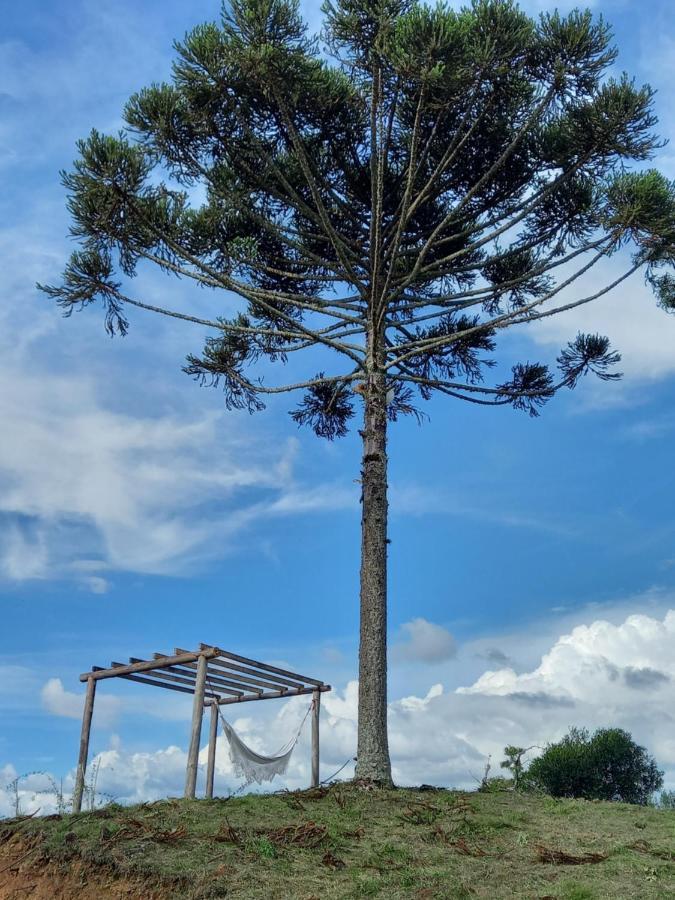 Celeiro Guarapuava, 4 Quartos, Paz E Tranquilidade Екстер'єр фото